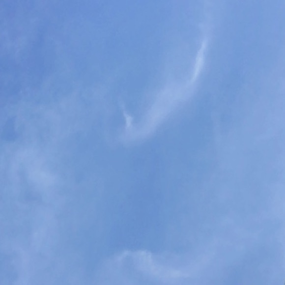 Meet your Posher, Cassie - Picture 1 of 1